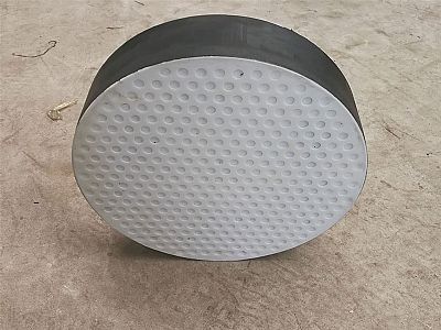 台江区四氟板式橡胶支座易于更换缓冲隔震